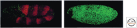 Figure 14.