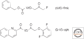 Figure 11.