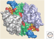 Figure 12.