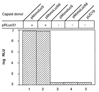 FIG. 4