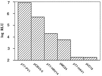 FIG. 7