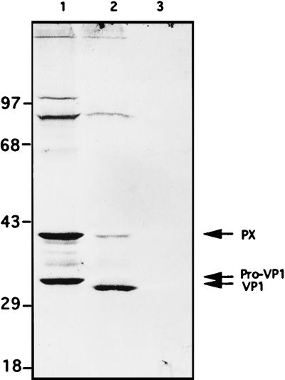 FIG. 8