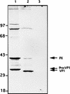 FIG. 8