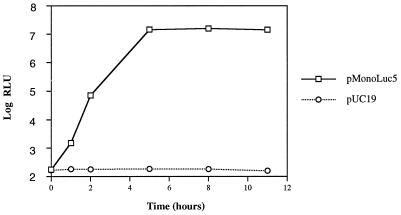 FIG. 5