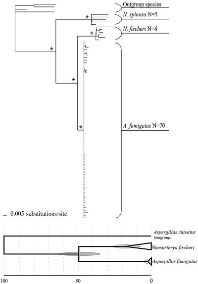 FIG. 1.