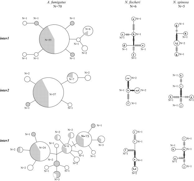 FIG. 2.