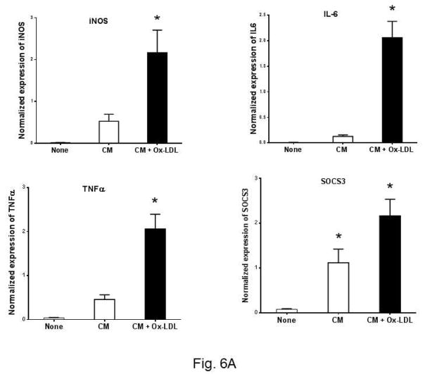 Fig. 6