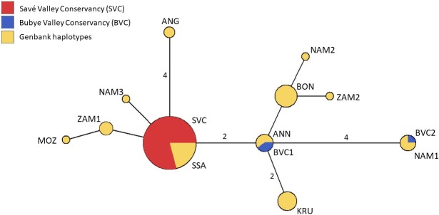 Fig 2