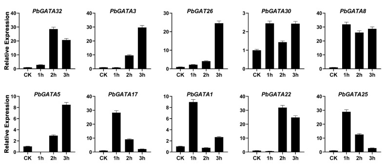 Figure 11