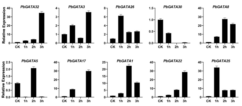 Figure 13