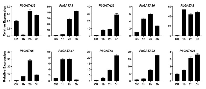 Figure 12