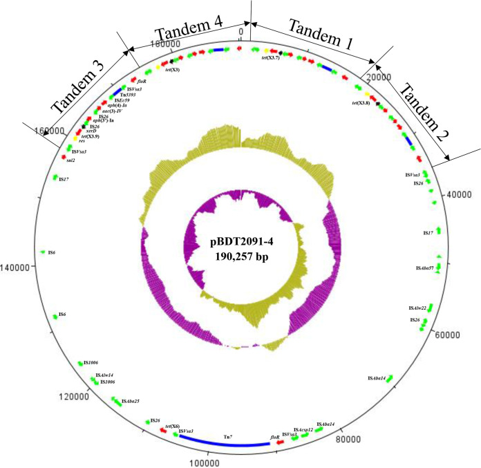 FIG 3