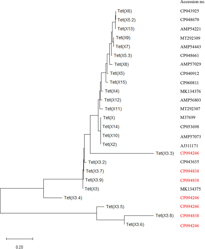 FIG 5