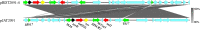 FIG 6