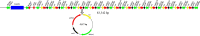 FIG 1