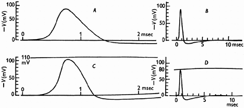 Fig. 15