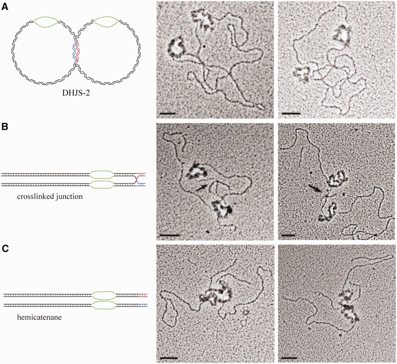 Figure 4.