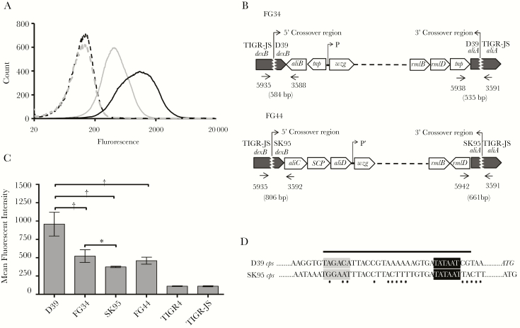 Figure 2.