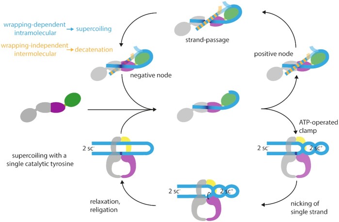 Figure 5.