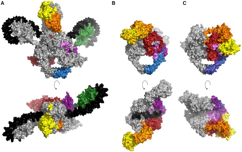 Figure 4.