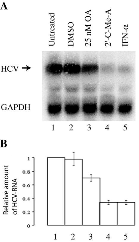 FIG. 5.