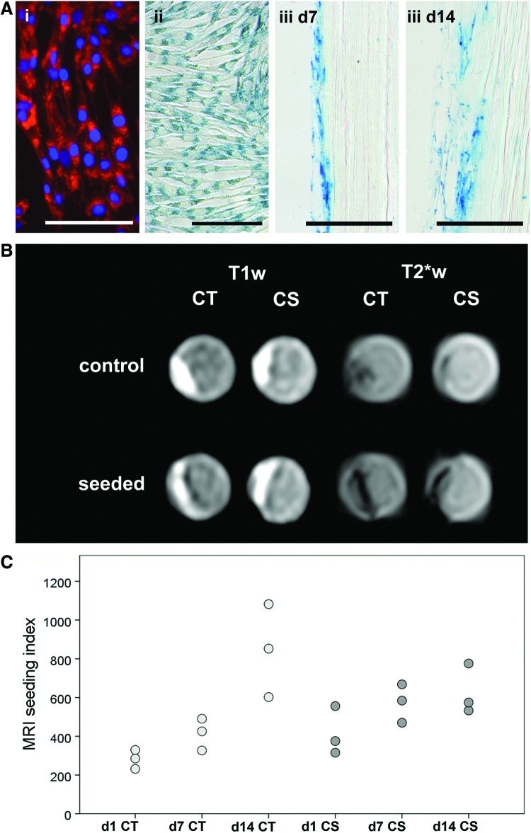 FIG. 6.