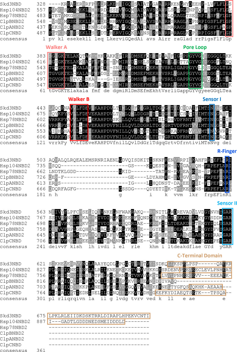 Figure 1—figure supplement 1.