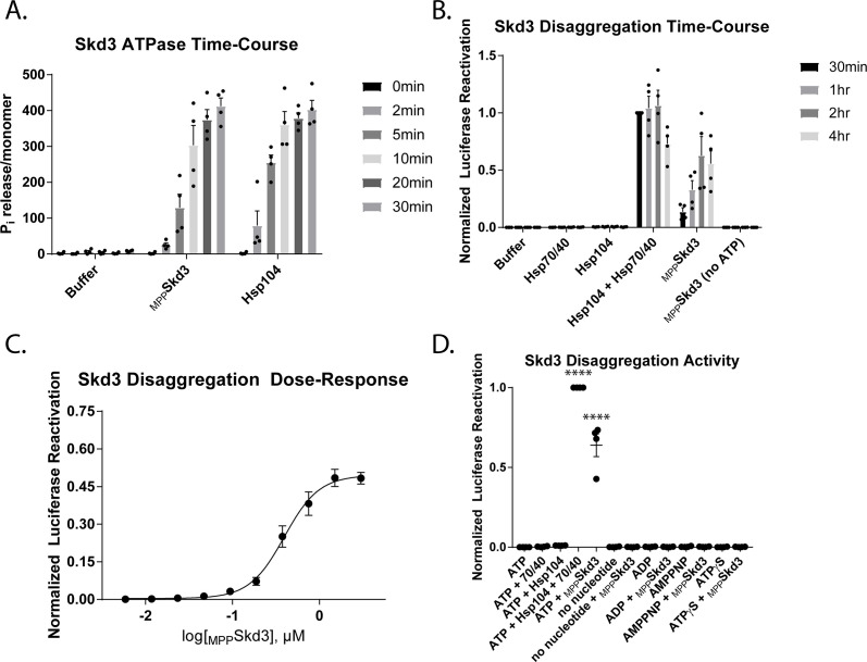 Figure 2—figure supplement 2.