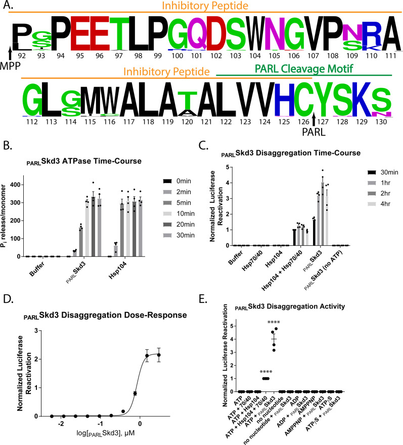 Figure 3—figure supplement 2.