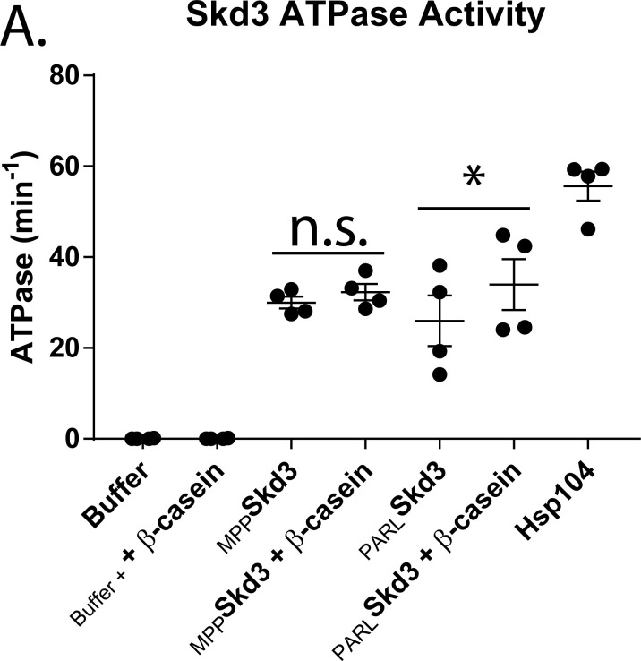 Figure 3—figure supplement 3.