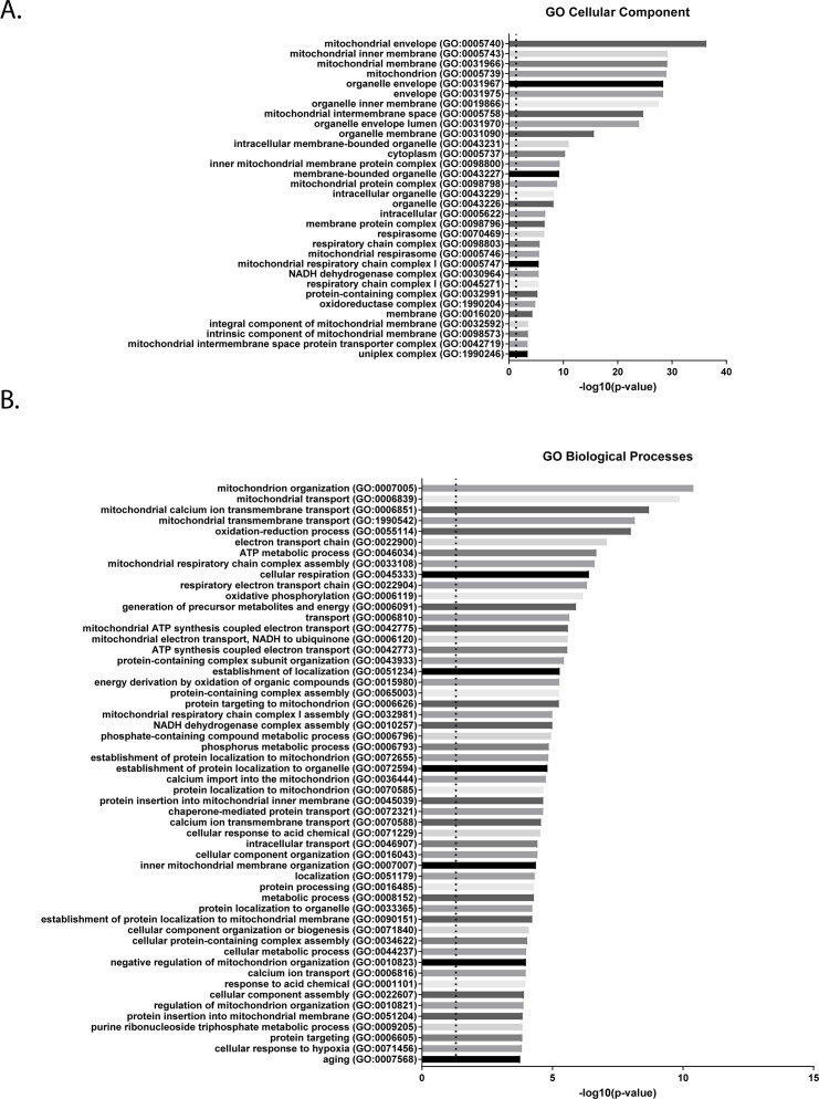 Figure 7—figure supplement 2.