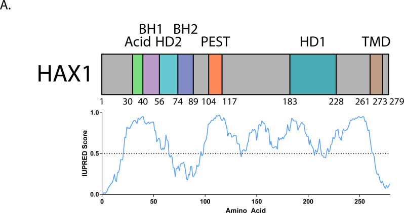 Figure 7—figure supplement 4.