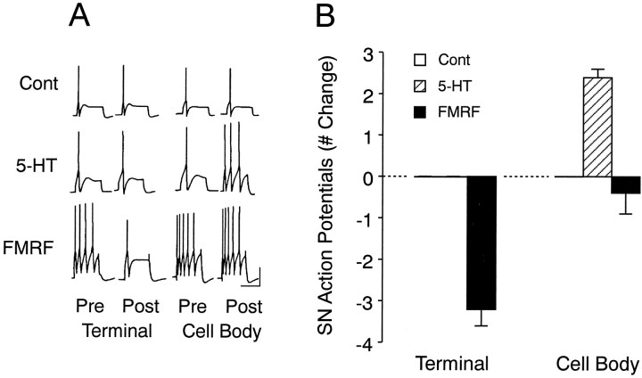 Fig. 6.