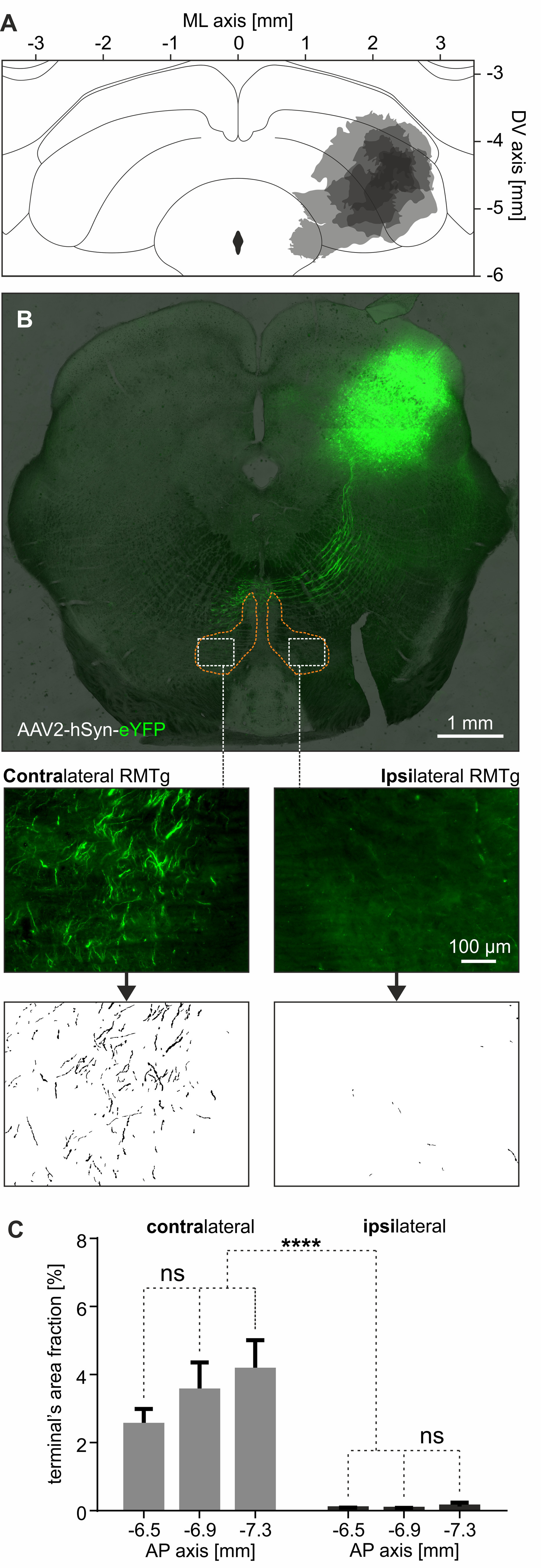 Figure 3.