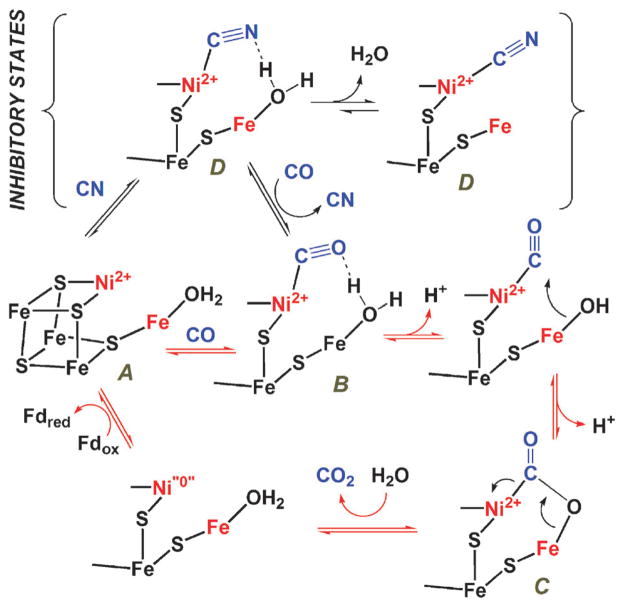 Fig. 7