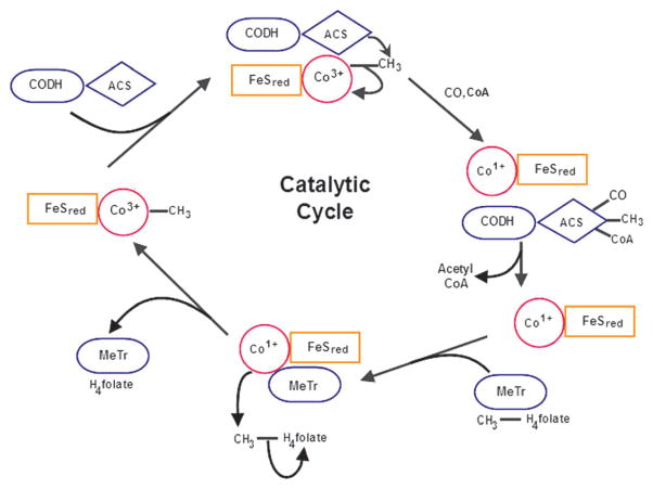 Fig. 10