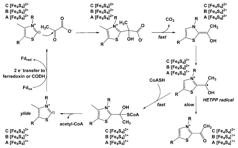 Fig. 9