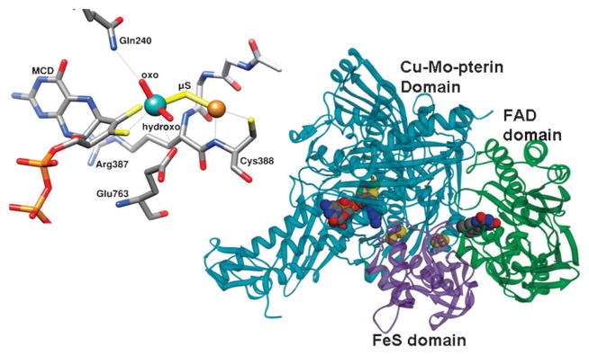 Fig. 3