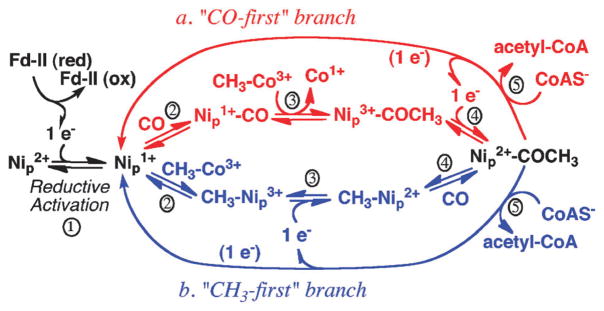 Fig. 11