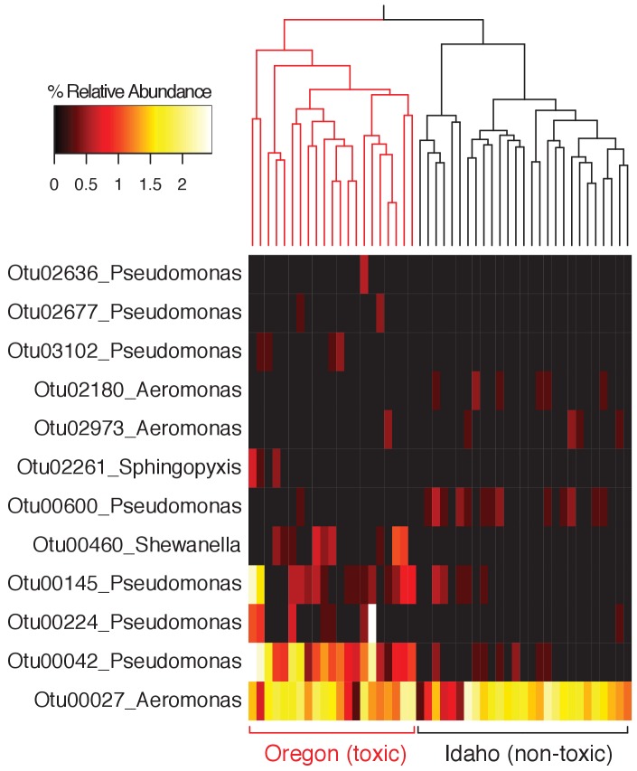 Figure 2—figure supplement 2.