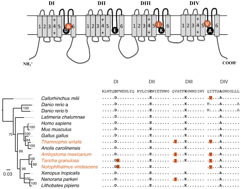 Figure 4—figure supplement 1.