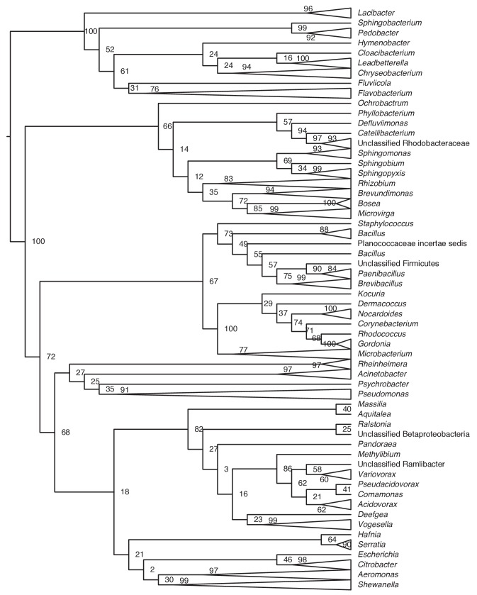 Figure 3—figure supplement 1.