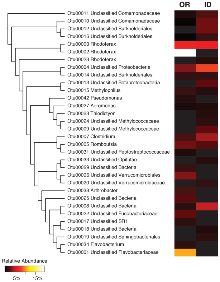 Figure 1—figure supplement 1.