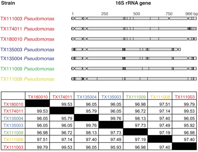 Figure 3—figure supplement 2.