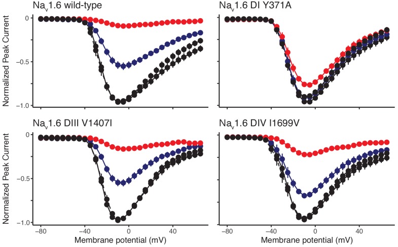 Figure 5—figure supplement 1.