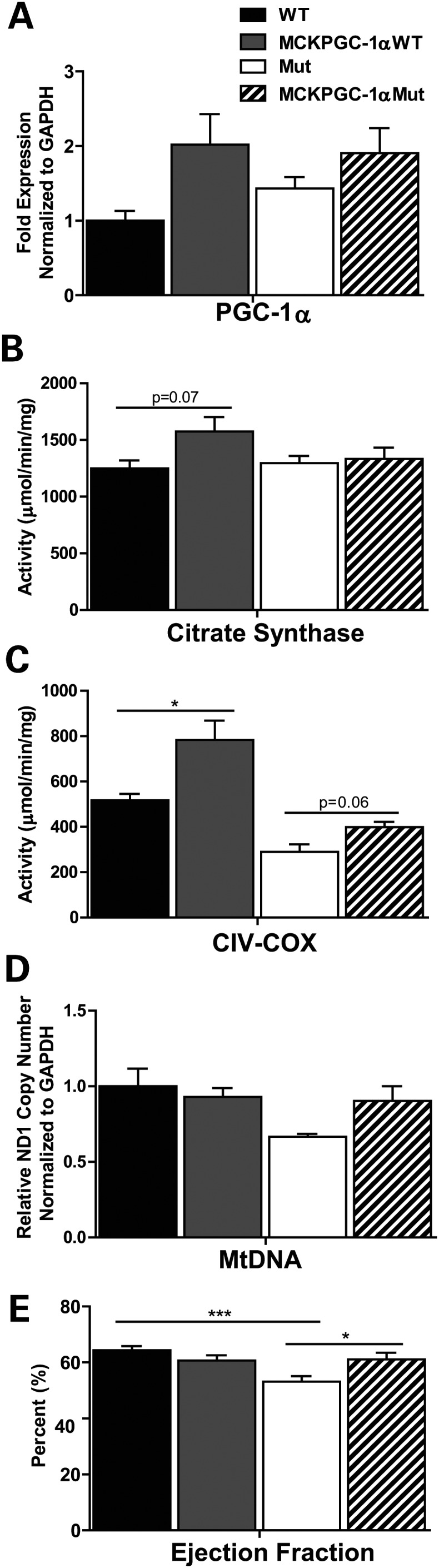 Figure 4.