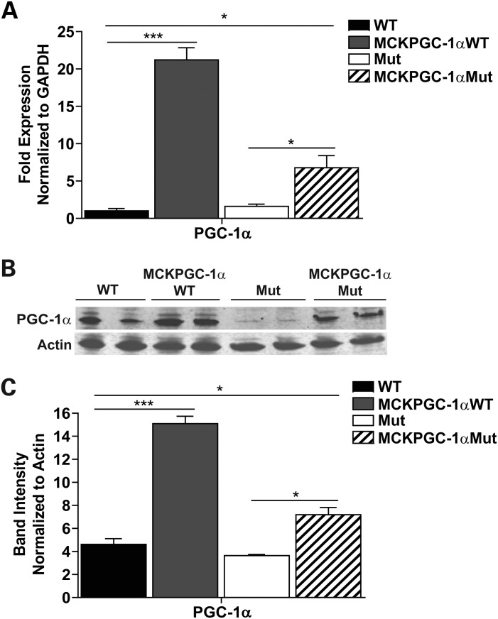 Figure 1.