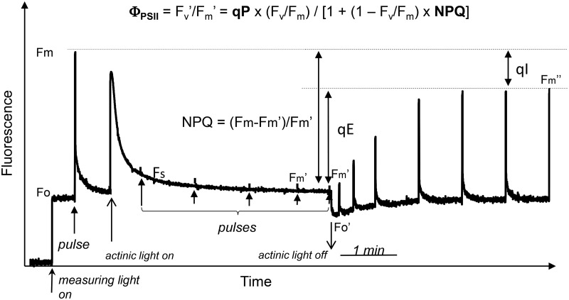 Figure 2.