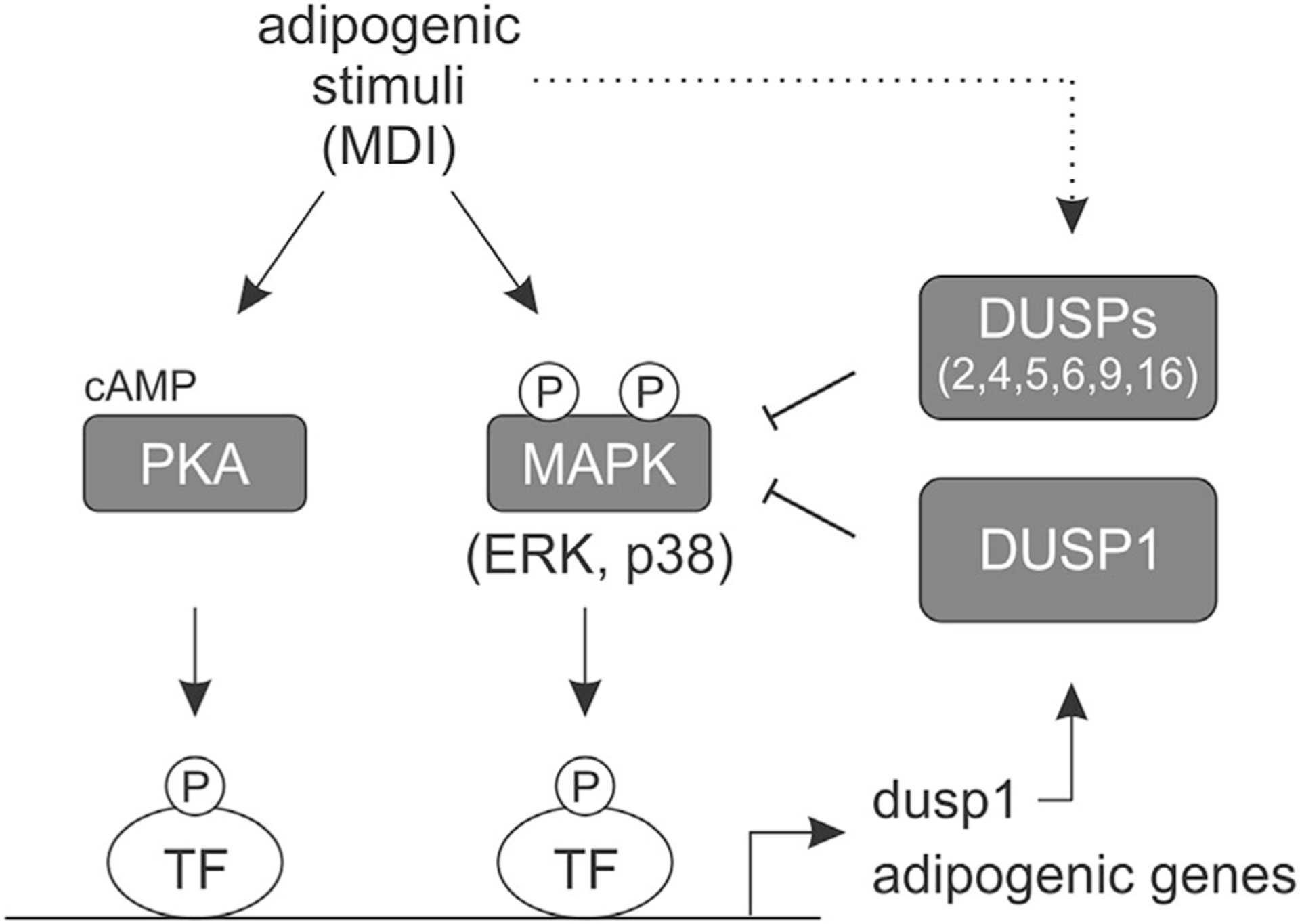 Fig. 9.