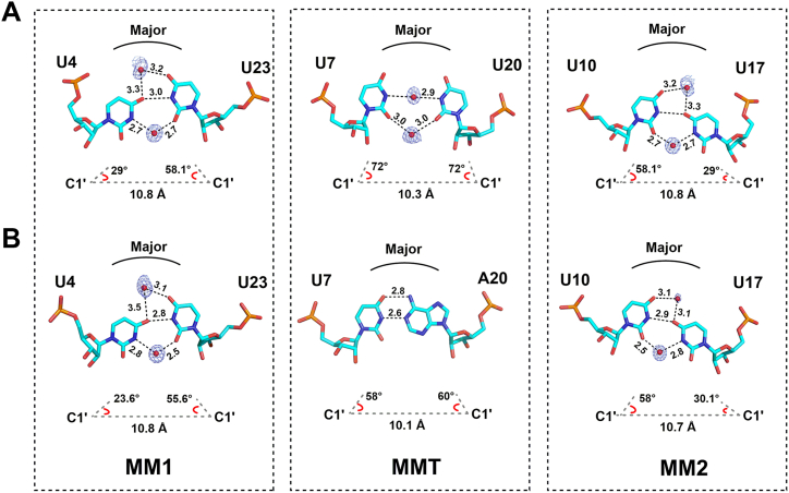 Figure 2